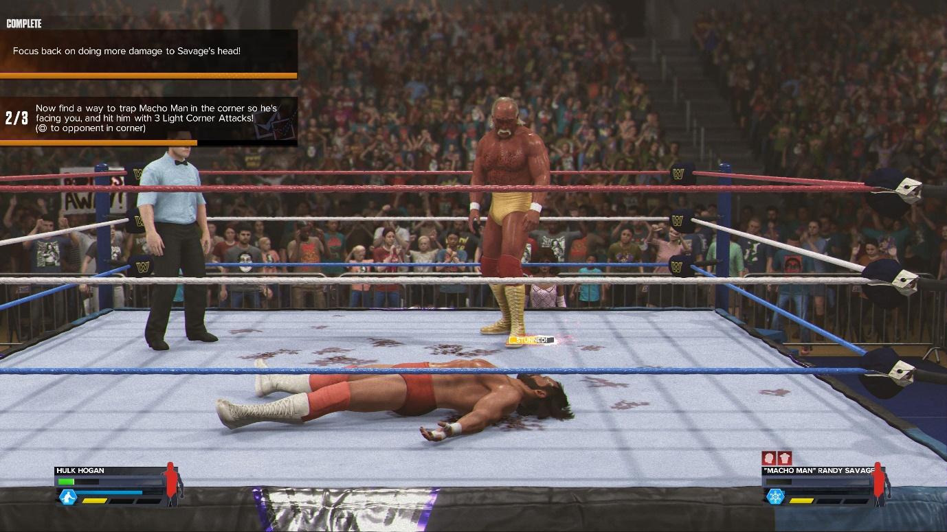 A wrestling match with a crowd watching

Description automatically generated